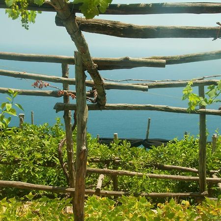 Casa Martina Villa Amalfi Dış mekan fotoğraf