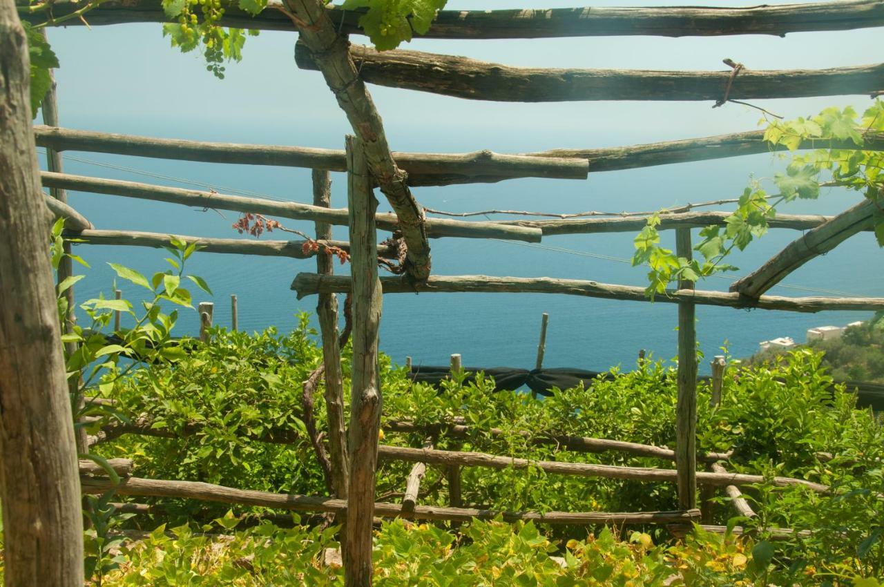 Casa Martina Villa Amalfi Dış mekan fotoğraf